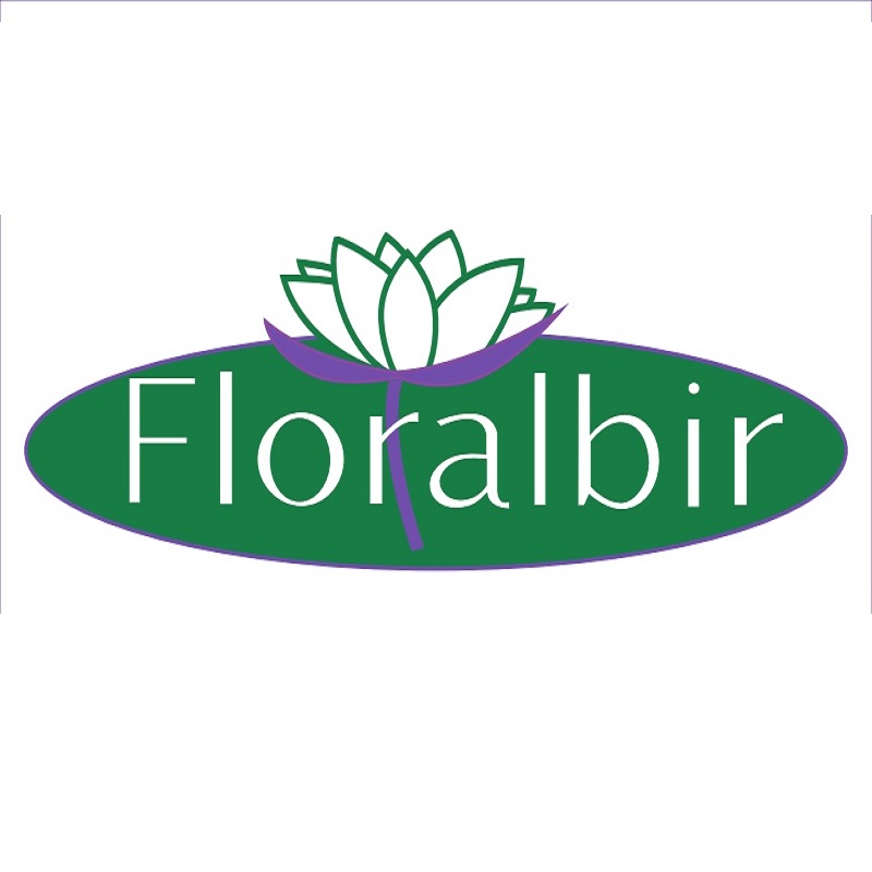 logo.jpg