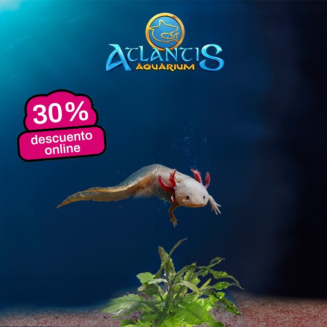 atlantis