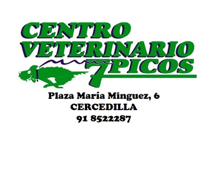 Centro